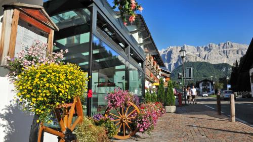 Hotel Des Alpes 3