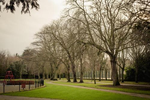 DCU Rooms - image 2