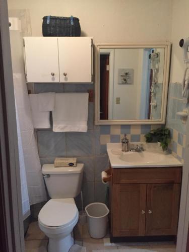 Sagusta Gardens NCA in Whitby