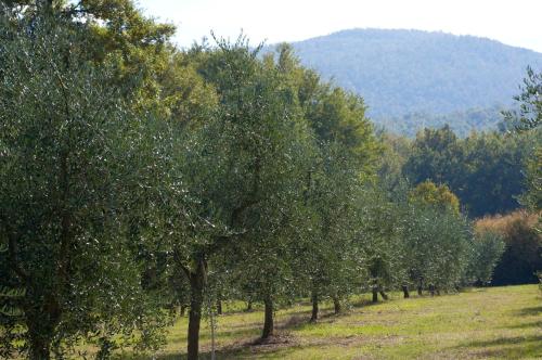 La Tenuta Dei Ciclamini