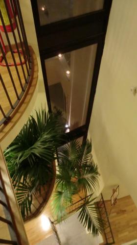 Hotel Boutique Antiche Mura - image 3