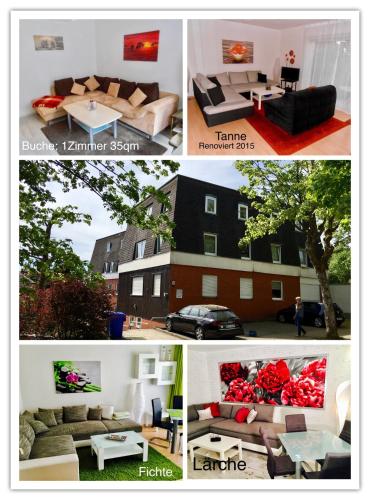 4 moderne FEWO Nowak-Bals zur Auswahl - image 4
