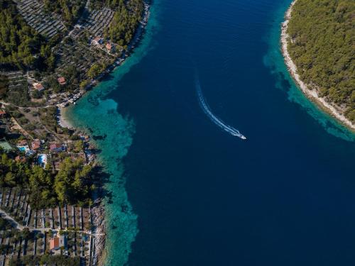 Villa Goga - Accommodation - Vela Luka