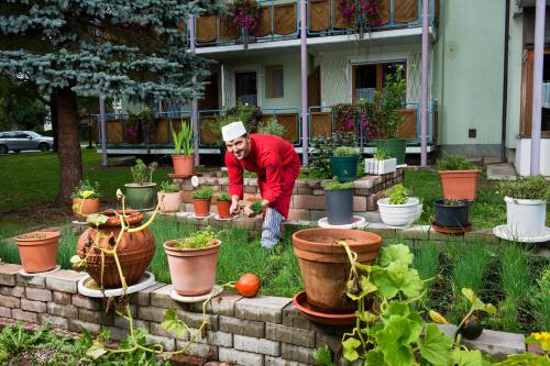 Golf-Tennis-Wellnesshotel Mori – Klopeiner See (Klopsteiner Lake), CA