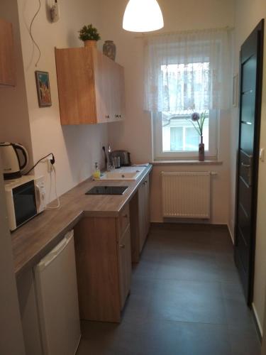 Apartament Scorpion Modlin in Чоснув