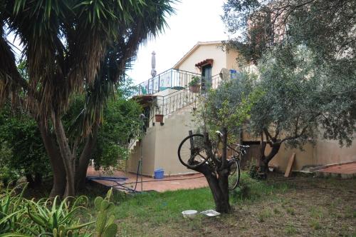 Ktima Tzamika - image 5