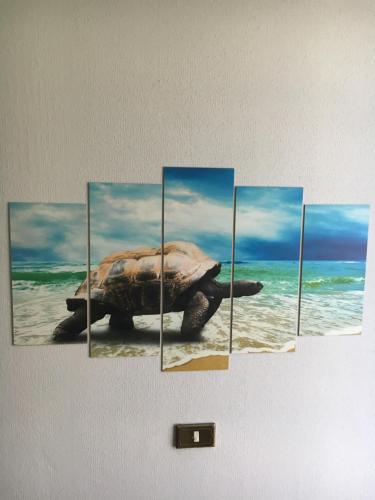 Hotel Acqua Marina - image 11