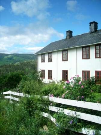 Dale Gård - image 9