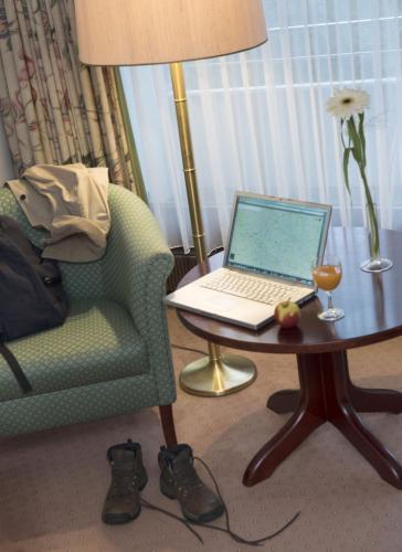 Maritim Hotel Bad Salzuflen - image 7