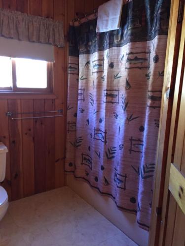 Rough Cut Lodge - image 4