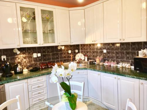 Apartmány Třeboň Vila EVIO - image 10