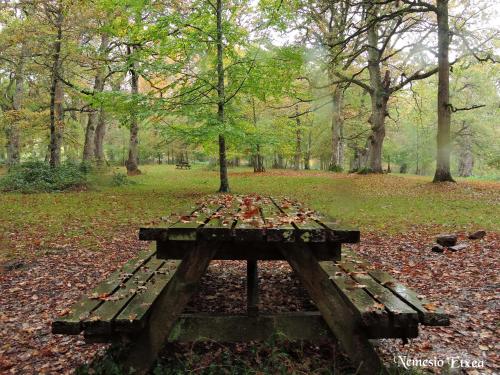 กิจกรรม, Casa Rural Nemesio in อีตูร์เมนดี