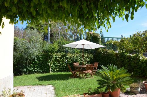 B&B Il Girasole - 정원