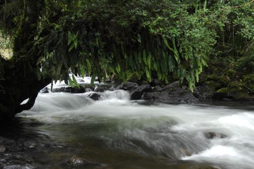 Termas de Papallacta