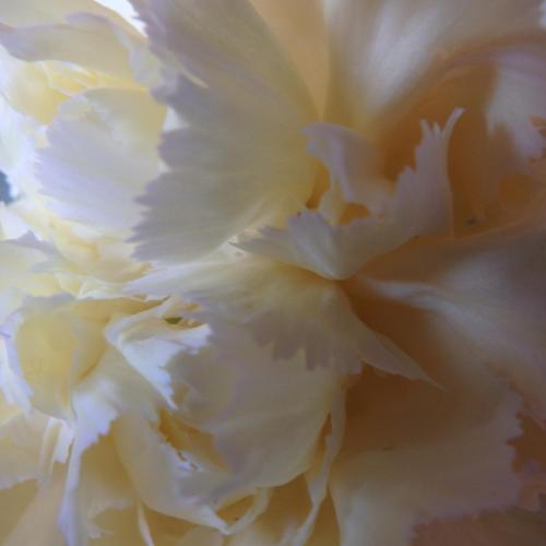 Bowral Road Bed and Breakfast - Tap to explore photos
