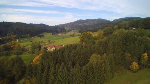 Hotel Bayerischer Wald