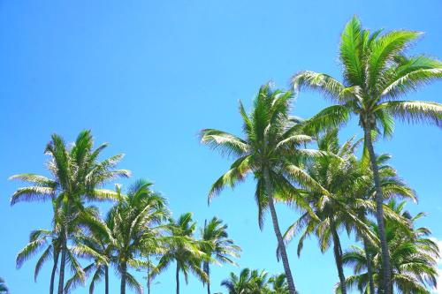 A La Maison De Nani in Saint Paul