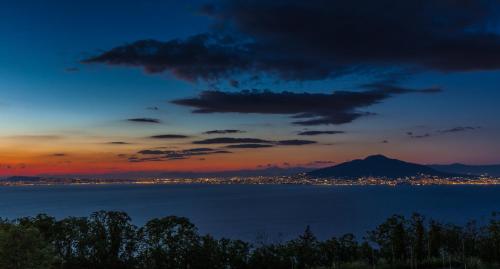 Grand Hotel Hermitage - image 3