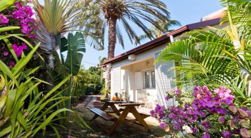 A La Maison De Nani - Location, gîte - Saint-Paul