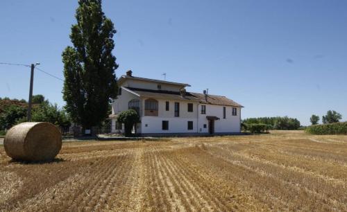 Antico Pioppo - Viguzzolo