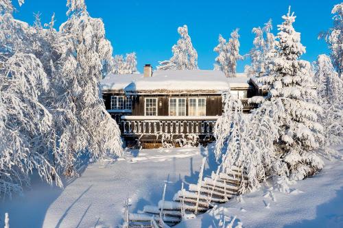 Bitigrenda N - Chalet - Beitostøl