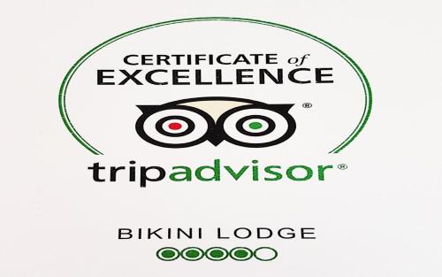 Bikini Lodge - image 7