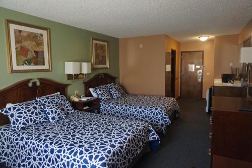Bellevue Hotel and Suites - image 8