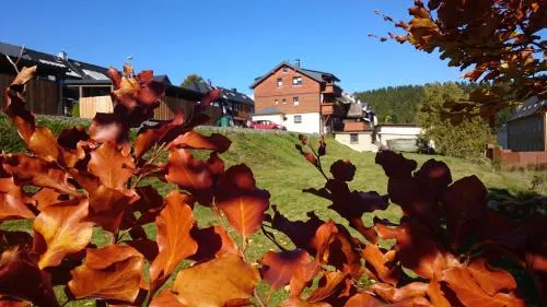 Ferienwohnung Elisabeth in Klingenthal, Deutschland