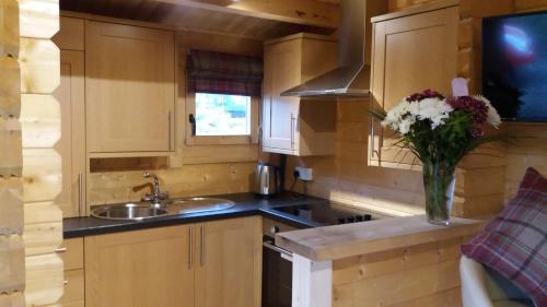 Iekārtas, Lochinvar - Highland Log Cabin with Private Hot Tub in Plains