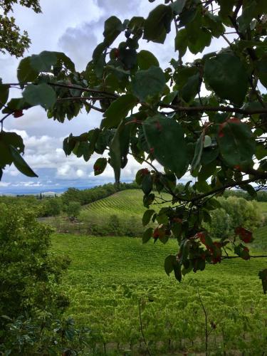 Agriturismo San Gregorio