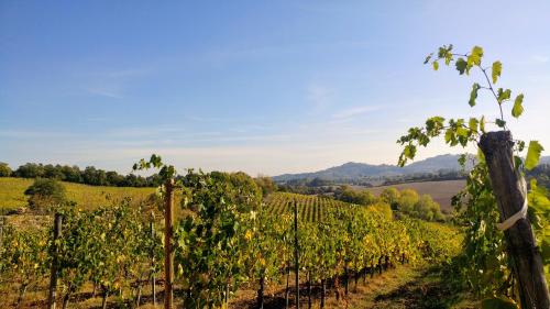 Agriturismo San Gregorio