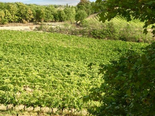 Agriturismo San Gregorio