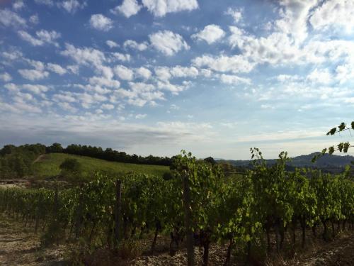 Agriturismo San Gregorio