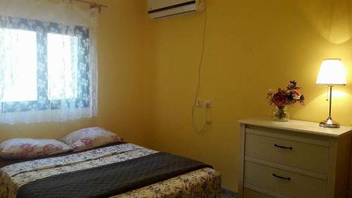 LeSaNel - Guest House, Arad (Foto 4)