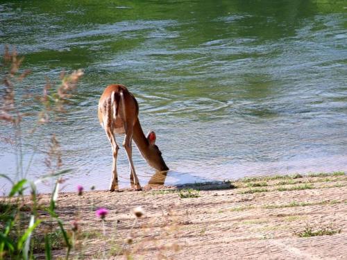 Colorado River Camping Resort Wheelchair Accessible Cabin 4