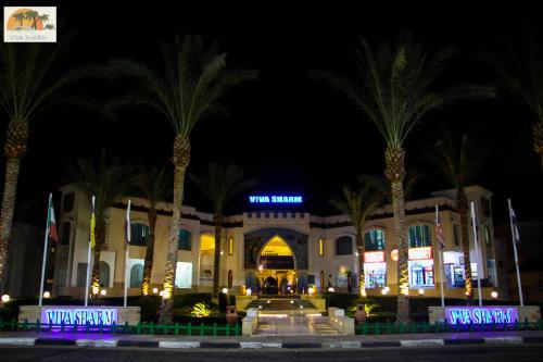 Viva Sharm - image 5