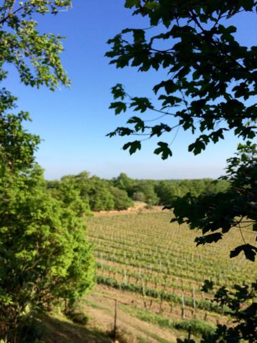 Agriturismo San Gregorio