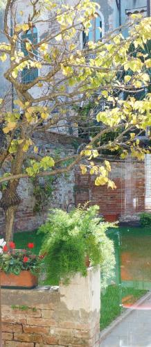 B&B HORTUS, Venice (photo 10)