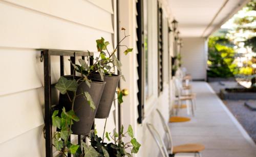 Harwood Hill Motel in เบนนิงตัน (VT)