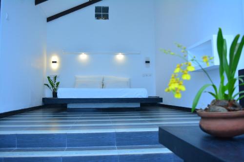 迷迪加玛假日宾馆 迷迪加玛假日宾馆