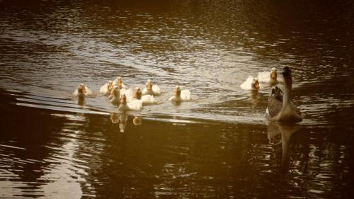 Hacienda Mi Montañita