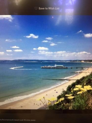 Beach, Discoveries Guest House & luxury spa in Talbot and Branksome Woods