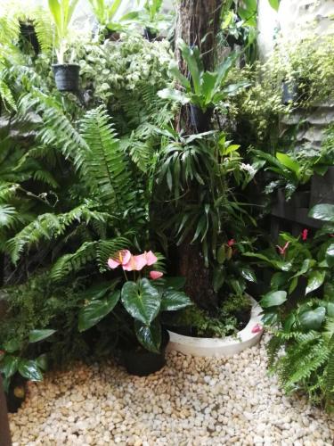 18 In Town Homestay – Chiang Mai, 