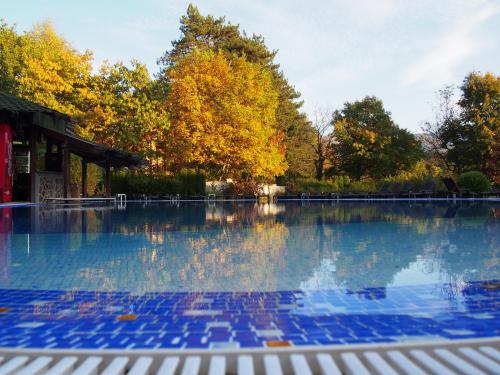 Spa Hotel Ata - image 11