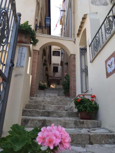 Florenza Residence - image 5
