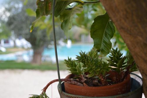 Hotel Torre Santamaria Resort - main image