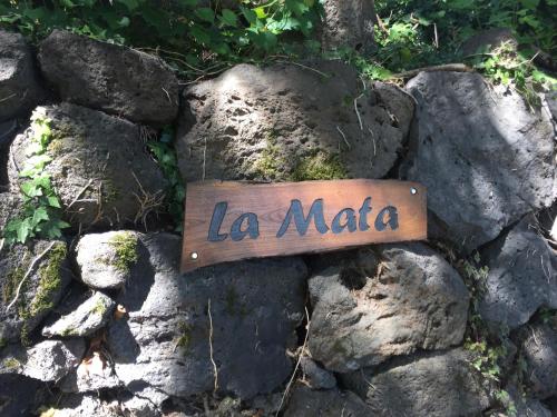 Mas La Mata