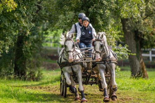 Tmbin's barn - nature, horses, family