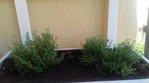 Piso en Cordoba Emili´s House