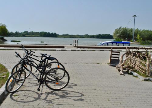 Complex Delta Marina - image 2